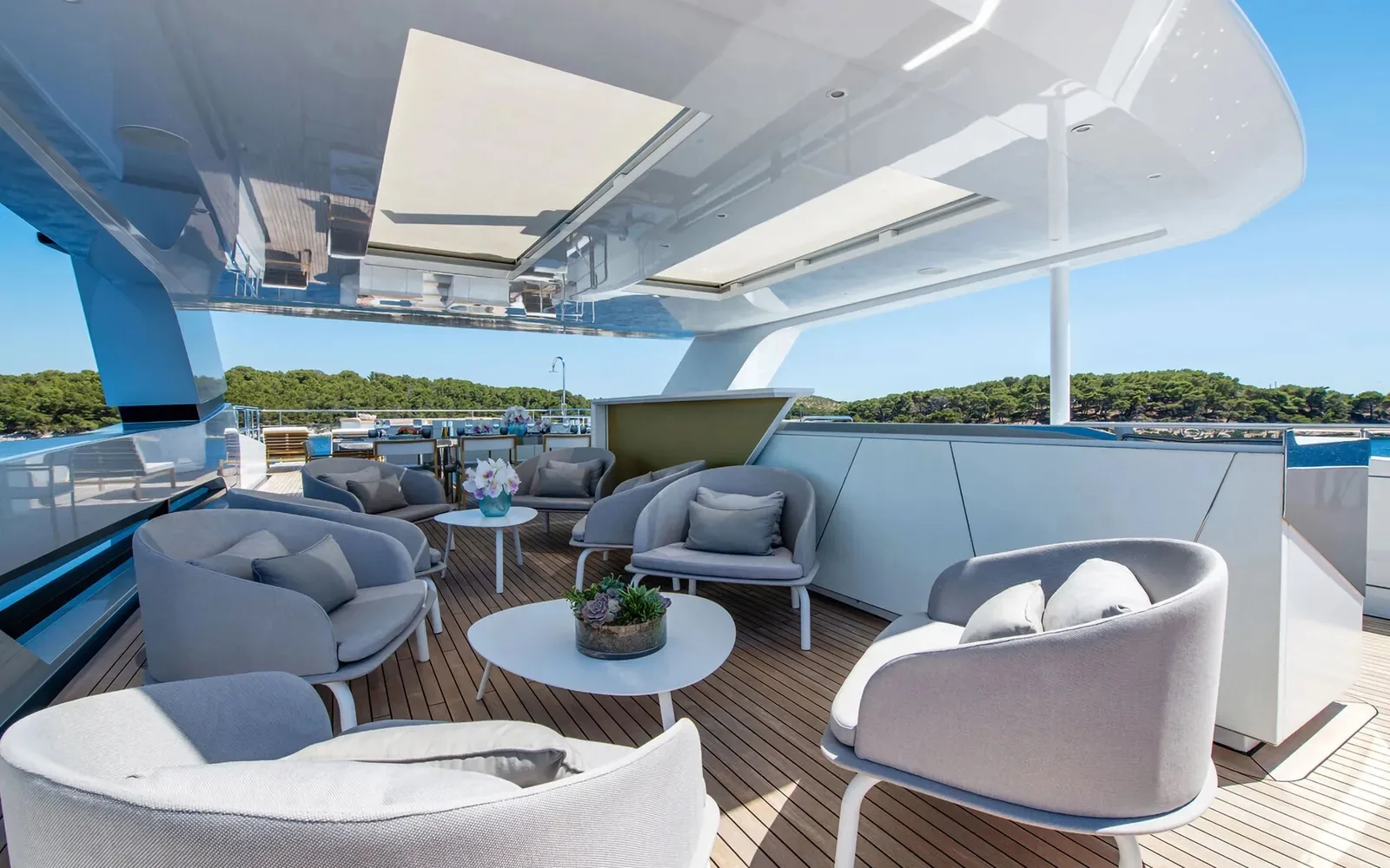 SILVER FOX - photo 8 yacht charter Mykonos